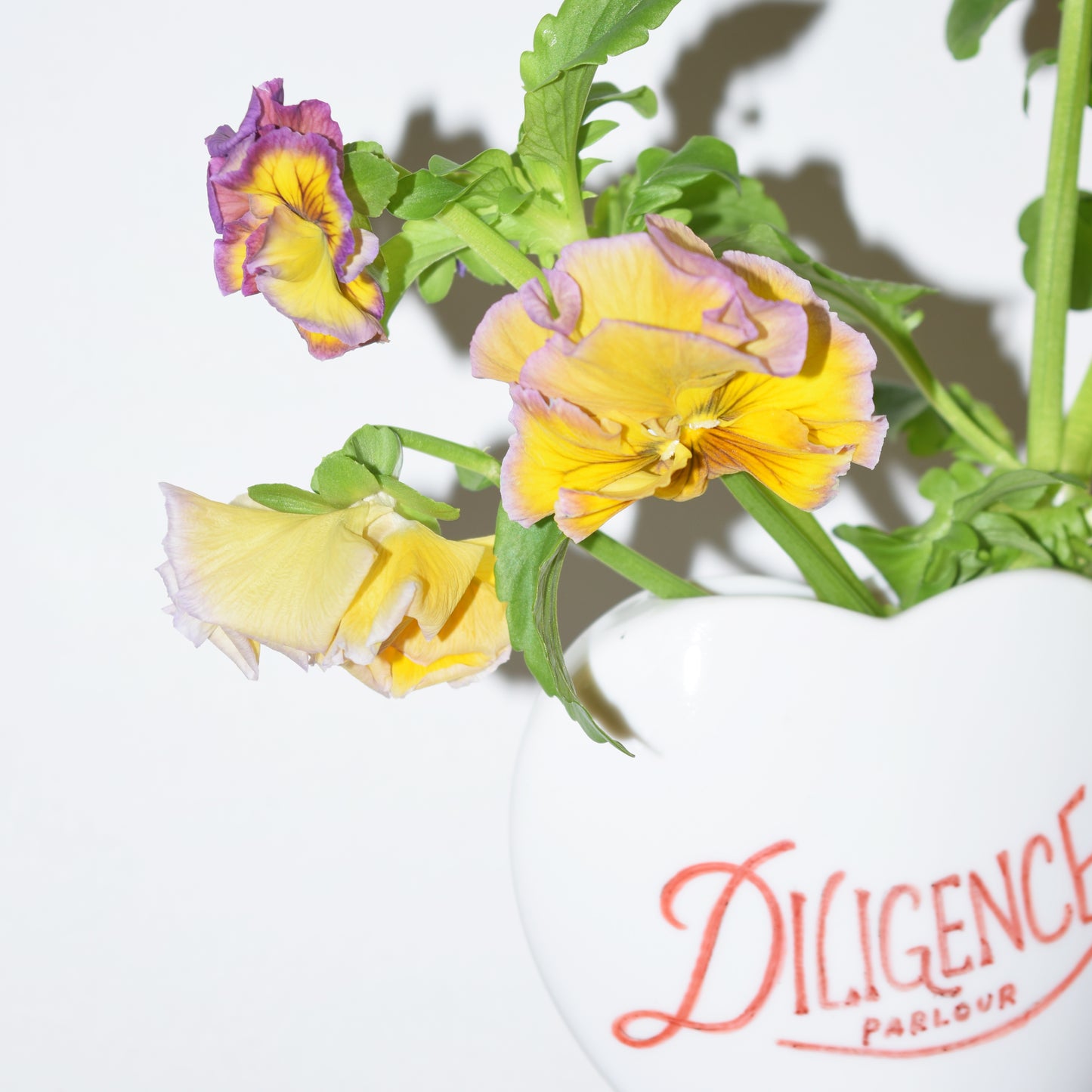 Pansy with Your Heart