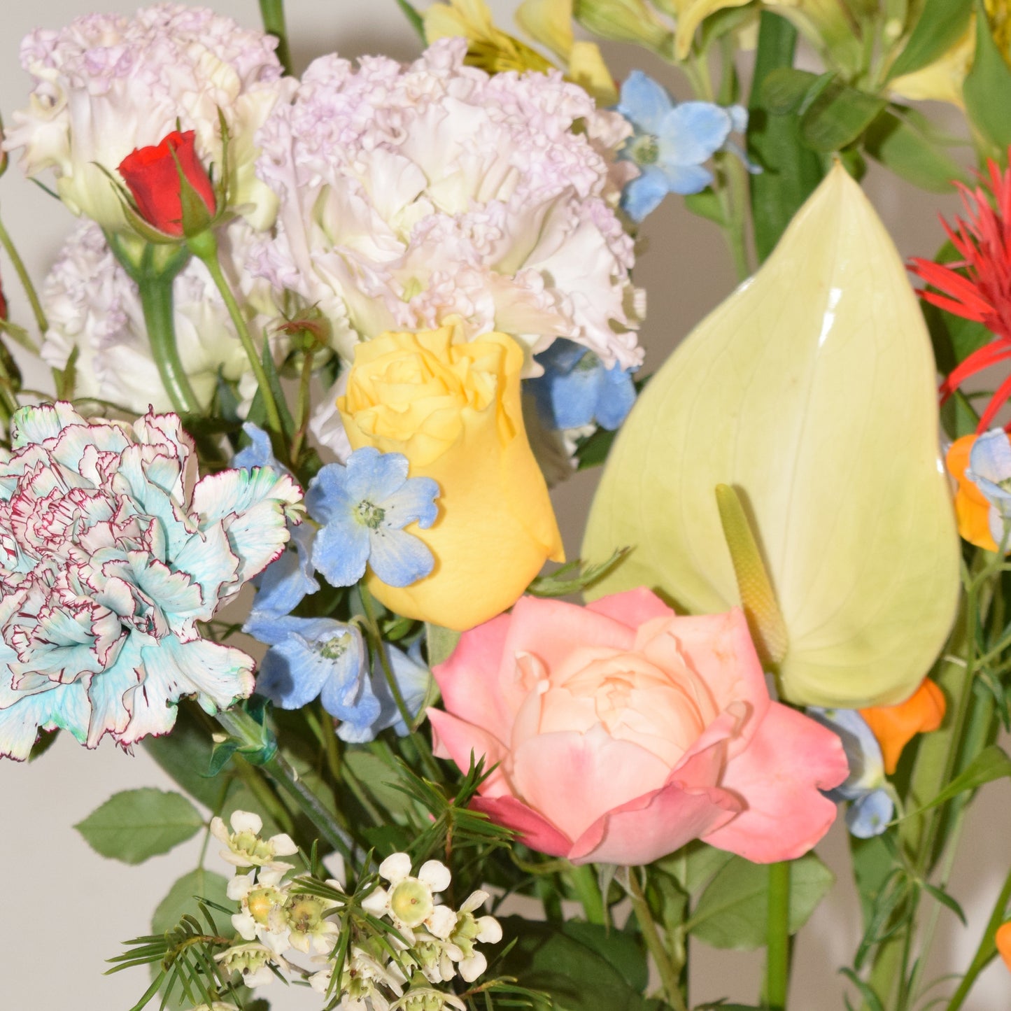 初夏の光をまとった Radiant Flower Clear Bag【5/10（日）店頭受取】