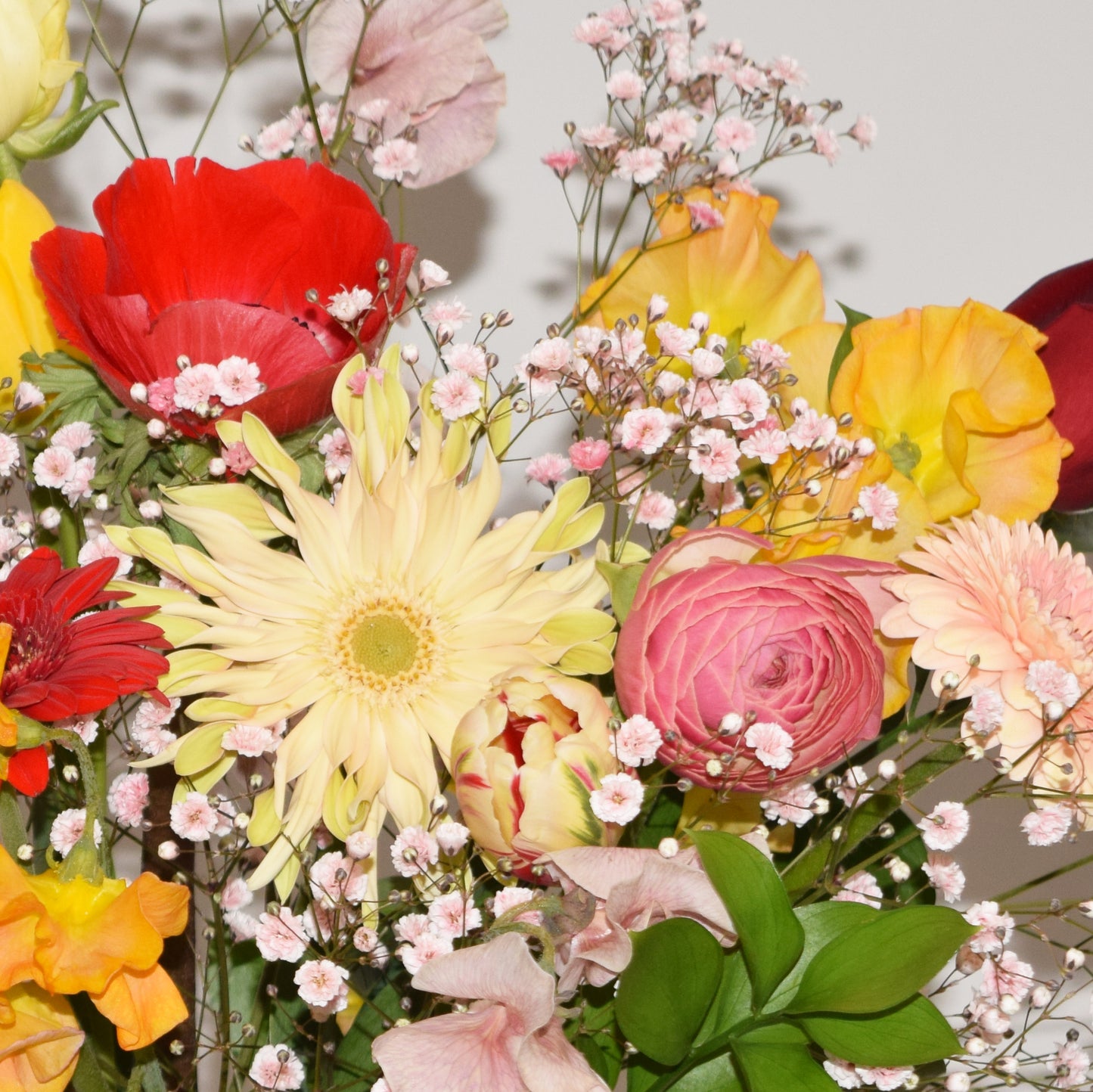 Here's to Your Bright Beginning / Flower Clearbag M