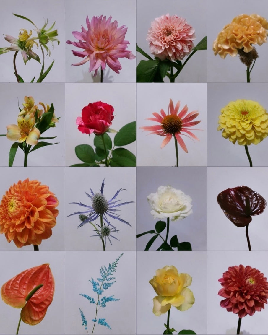 recommend by uwa✴︎fragrance bouquet