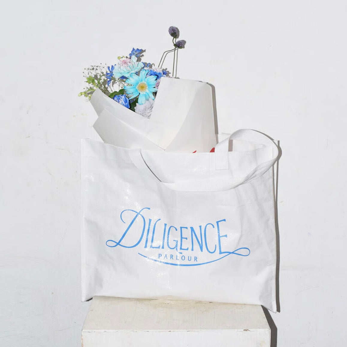 Picnic sheet logo tote bag【大】