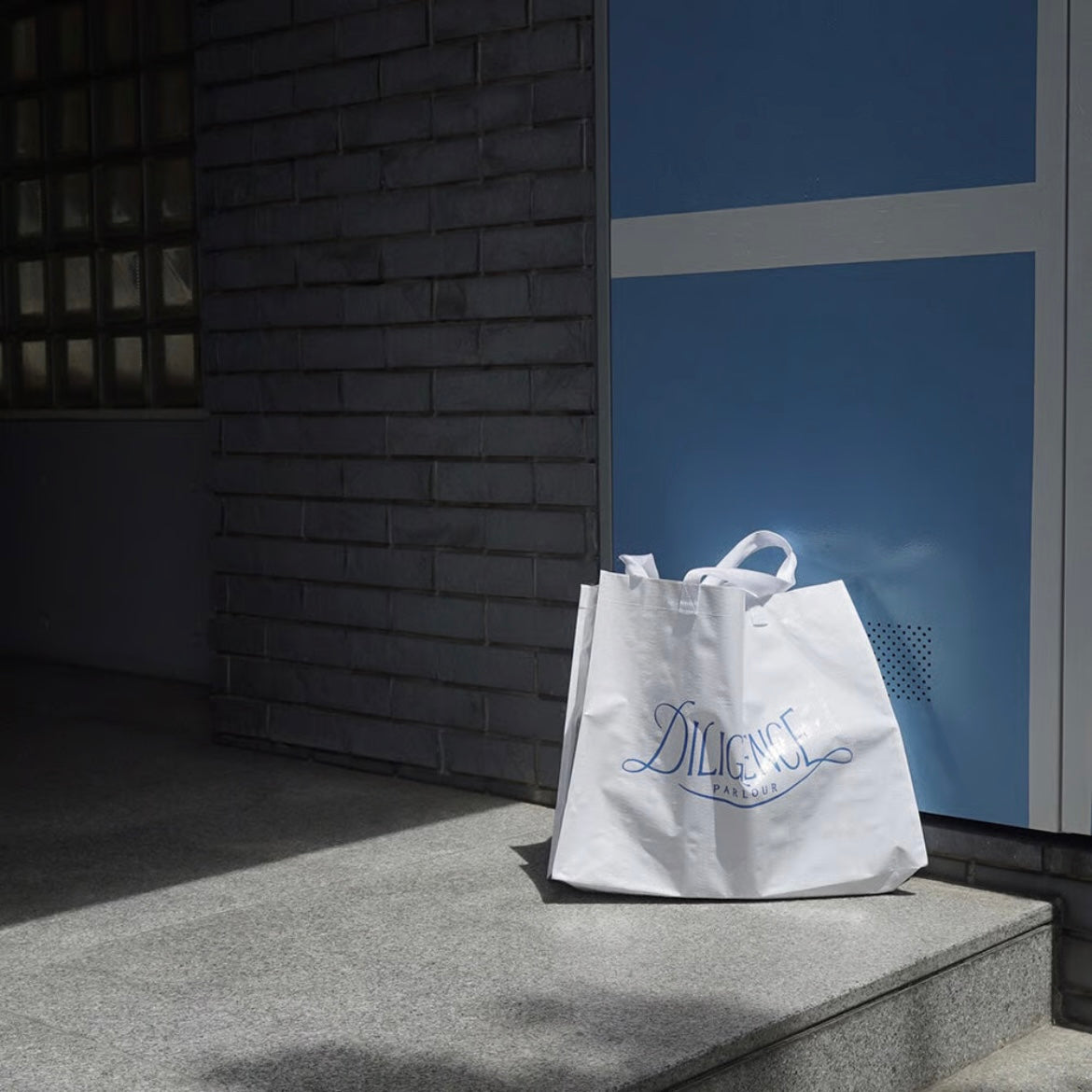 Picnic sheet logo tote bag【大】